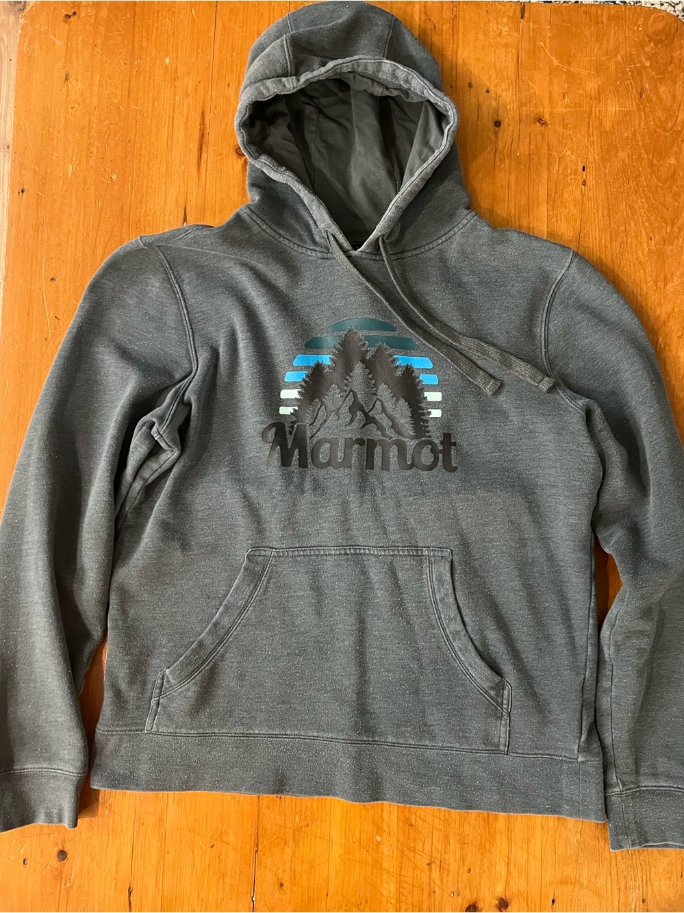 Marmot Large Front Logo Gray Hoodie Medium Gorpcore